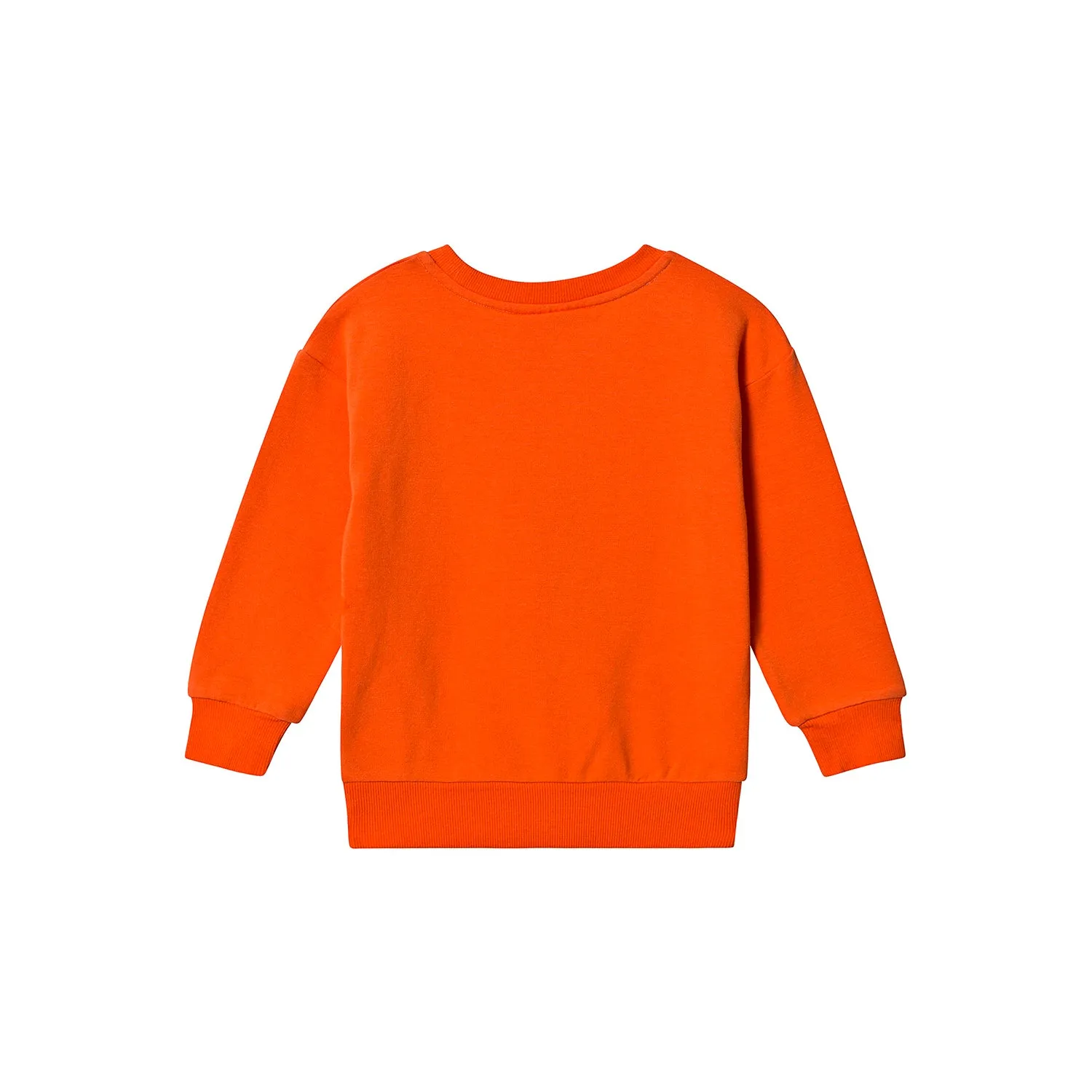 Gardner and the Gang The Classic Sweatshirt Lion Dreamer